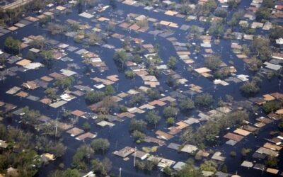 Climate change and the supply chain