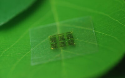 A flexible computer chip made of wood