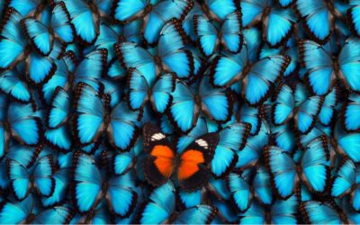 12 Steps to an Effective Content Strategy for the Supply Chain [Slideshow]
