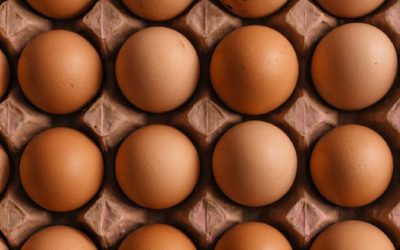 Build Traffic or Optimize for Conversions? A Chicken or Egg Debate